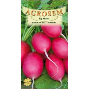 Seminte de ridichi de luna roz jutrezenka, 4 grame, Agrosem