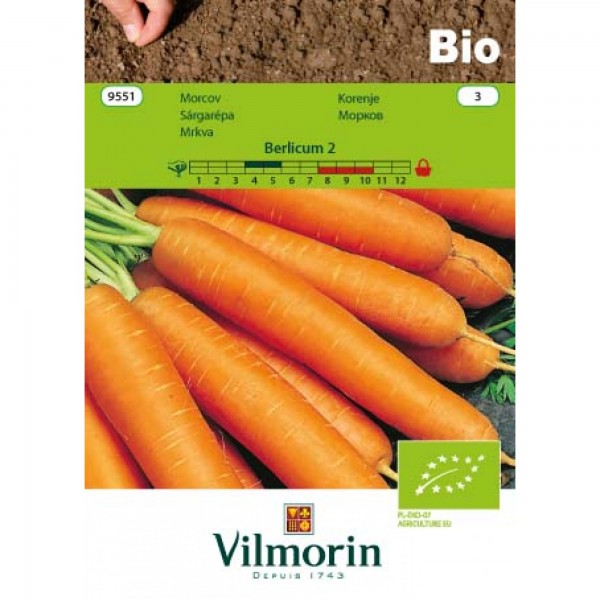 Seminte bio de morcov berlikumer, 2 grame, vilmorin
