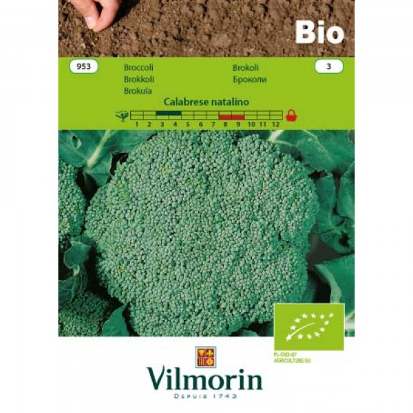 Seminte bio de broccoli, 1 gram, vilmorin