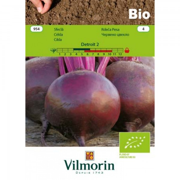 Seminte bio de sfecla rosie, 5 grame, vilmorin
