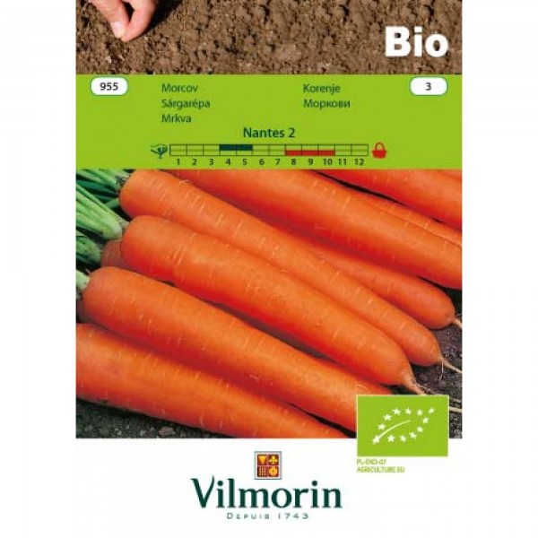 Seminte bio de morcov nantes 2, 3,5 grame, vilmorin