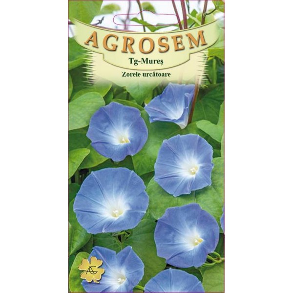 Seminte de flori zorele urcatoare albastre, 1 gram, Agrosem
