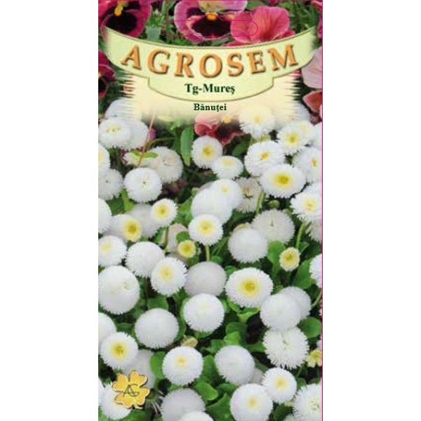 Seminte de flori, soi banutei albi, 0,05 grame, Agrosem