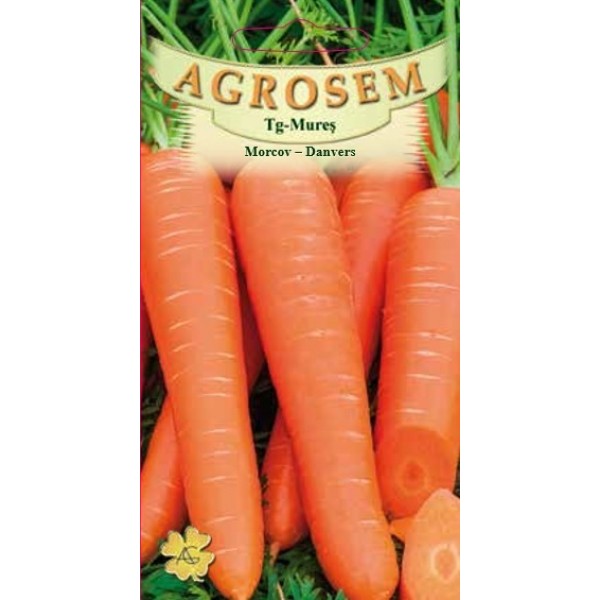Seminte de morcovi danvers, 4 grame, Agrosem