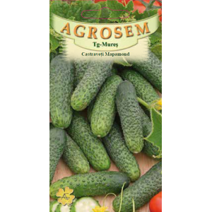 Seminte de castraveti cornichon Mapamond, 50 grame, Agrosem