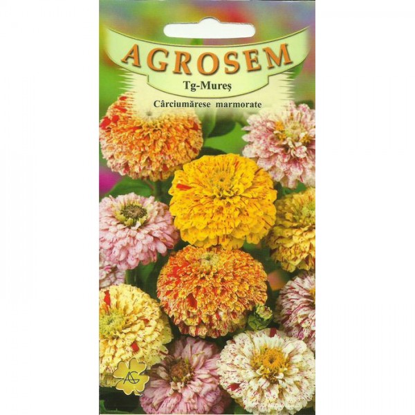 Seminte de flori, soi carciumarese marmorate, 0,5 grame, Agrosem