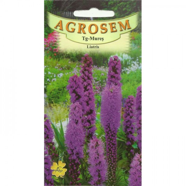 Seminte de flori liatris violet, 0,2 grame, Agrosem