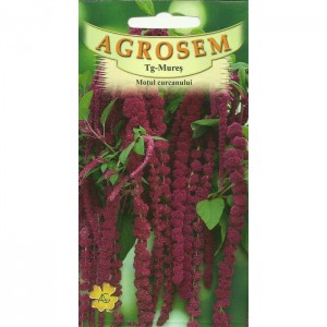 Seminte de flori motul curcanului rosu, 0,4 grame, Agrosem