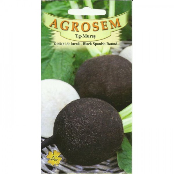 Seminte de ridichi negre de iarna Black Spanish Round, 50 grame, Agrosem