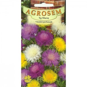 Seminte de flori vinetica parfumata mix, 0,4 grame, Agrosem