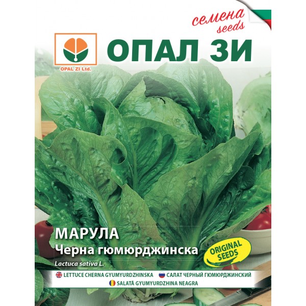 Seminte de salata Black Gumurdshinska, 2 grame, Opal