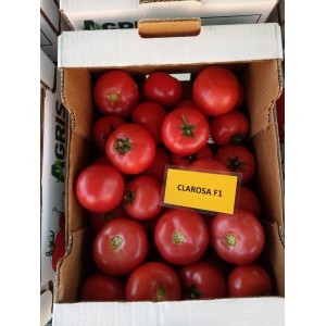 Seminte de tomate Clarosa F1, 250 seminte, Clause