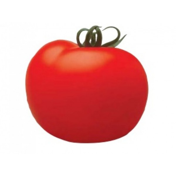 Seminte de tomate Cristal F1, 5 grame, Clause