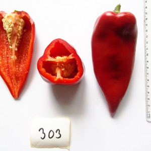 Seminte de ardei kapia semitimpuriu Potaisa F1 (AS2 - 250), 20 seminte, PG-3, Agrosel