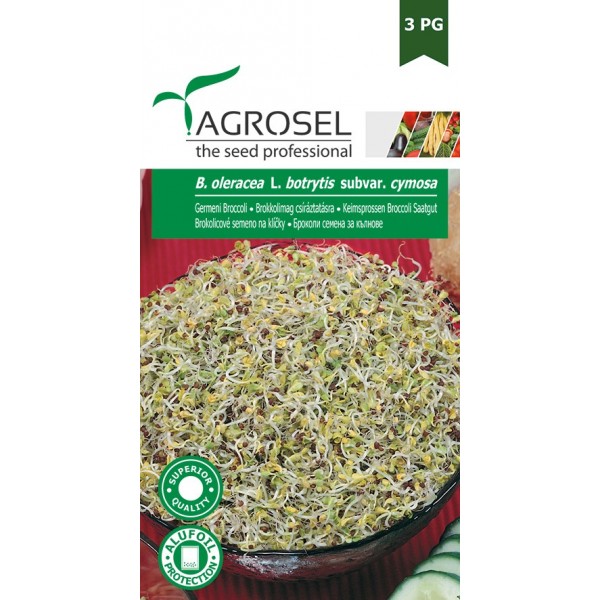 Seminte de germeni Broccoli, 8 grame, PG-3, Agrosel