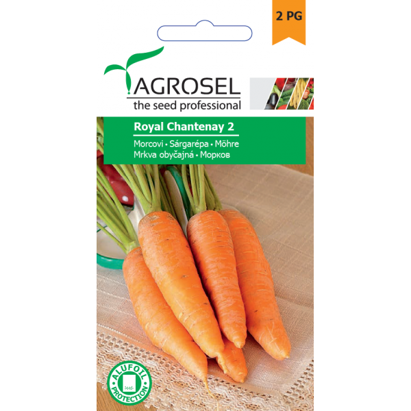 Seminte de morcovi Royal Chantenay 2, 5 grame, PG-2, Agrosel
