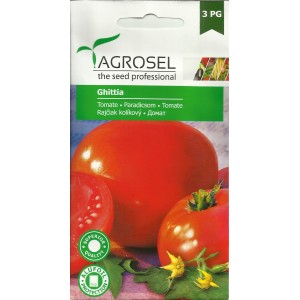 Seminte de tomate romanesti Ghittia, 1,5 grame, PG-3, Agrosel