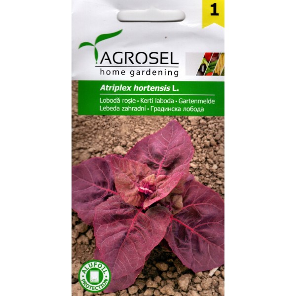 Seminte de loboda rosie, 1.5 grame, PG-1, Agrosel