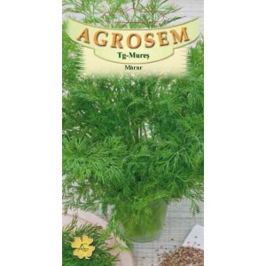 Seminte de marar Anethum Graveolens,100 grame, Agrosem