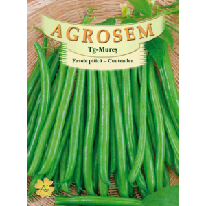 Seminte de fasole pitica verde fideluta Contender, 50 grame, Agrosem