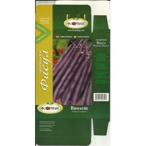 Seminte de fasole purple Queen, Florian, 50 grame