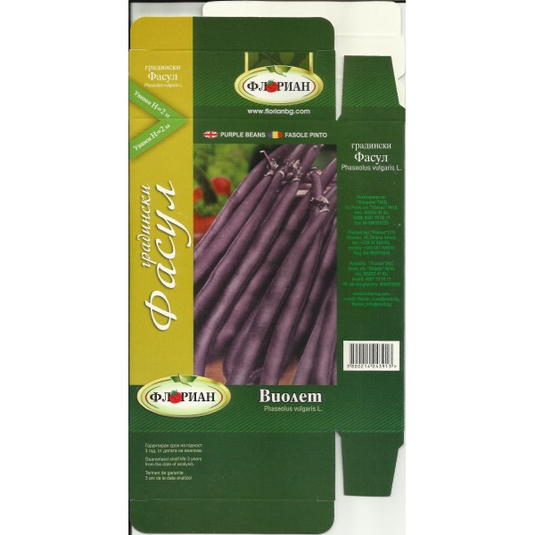 Seminte de fasole purple Queen, Florian, 50 grame