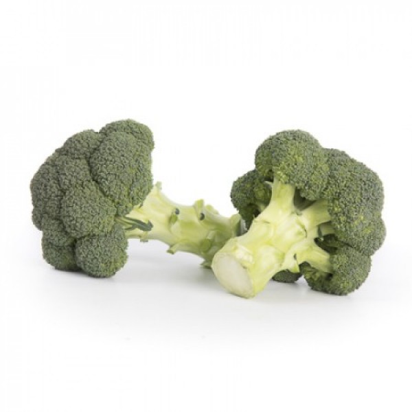Seminte de broccoli Larsson F1, 1000 seminte, Rijk Zwaan