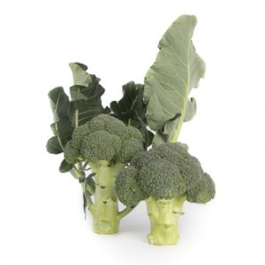 Seminte de broccoli Larsson F1, 1000 seminte, Rijk Zwaan