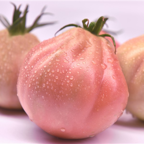 Seminte de tomate Rosamunda F1 (inima de albenga roz), 100 seminte
