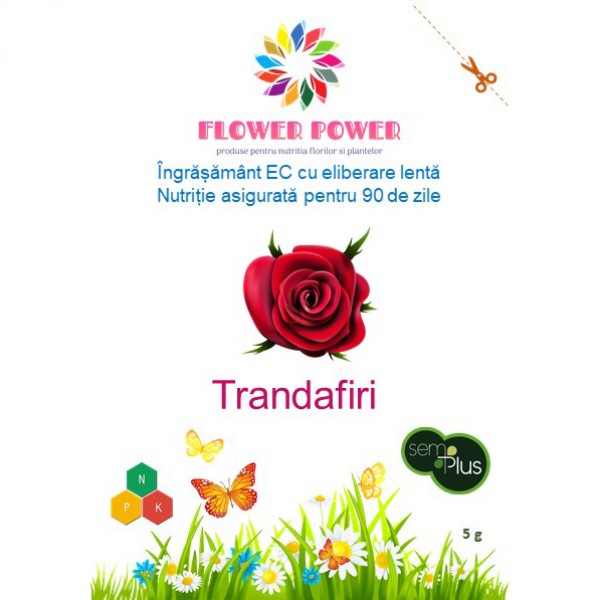 Ingrasamant Flower Power pentru trandafiri cu eliberare lenta, efect 90 zile, 5 grame, SemPlus