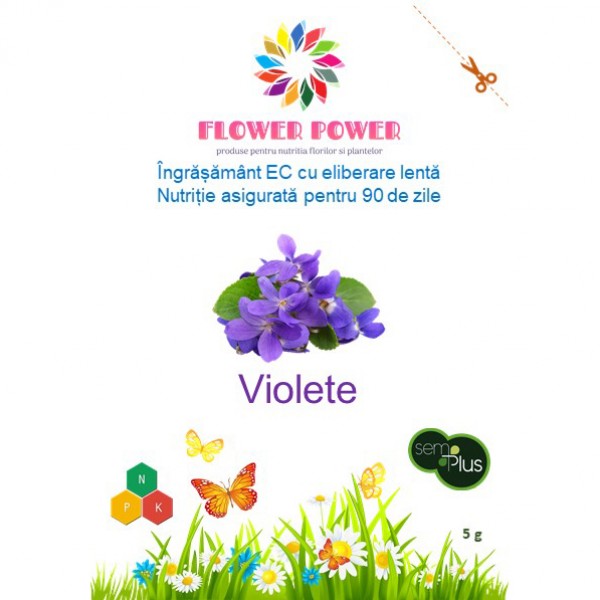 Ingrasamant Flower Power pentru violete cu eliberare lenta, efect 90 zile, 5 grame, SemPlus