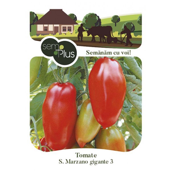 Seminte de tomate San Marzano gigante 3, 0,5 grame, SemPlus
