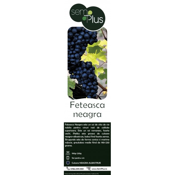 Butasi de vita de vie de vin Feteasca Neagra, 1 bucata, SemPlus