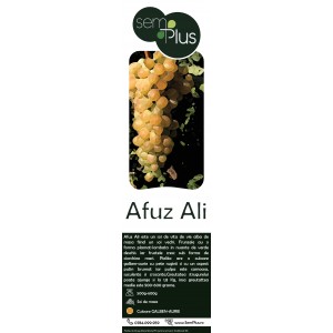 Pachet promotional Butasi de vita de vie de masa Afuz Ali, 1 bucata, 80 bucati + 20 bucati GRATIS