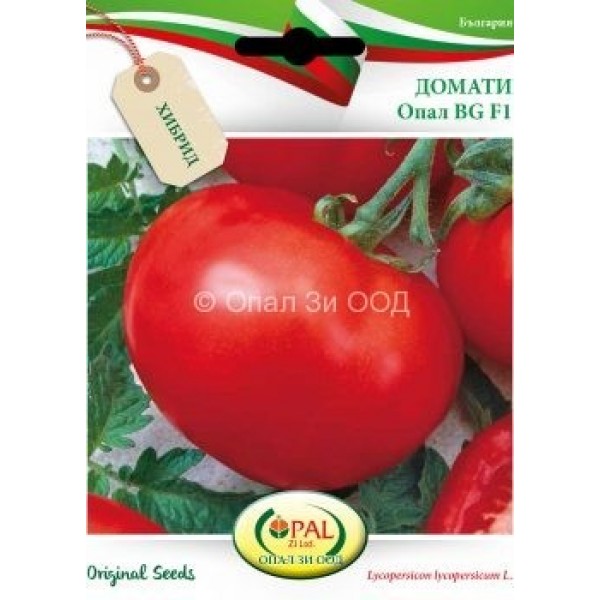 Seminte de tomate Opal BG F1, 5 grame, Opal