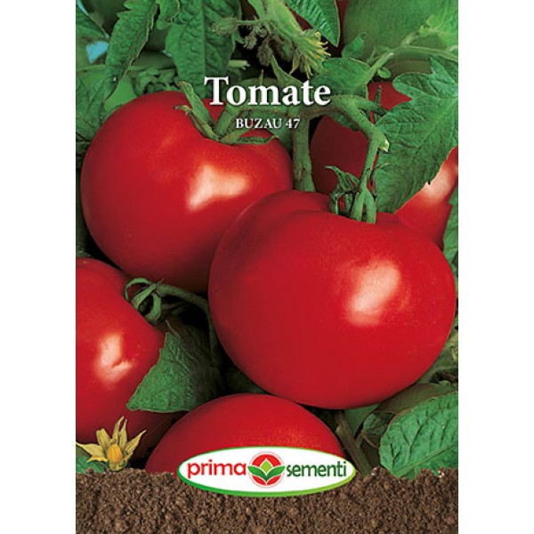 Seminte de tomate Buzau 47, 0,3 grame, Prima Sementi