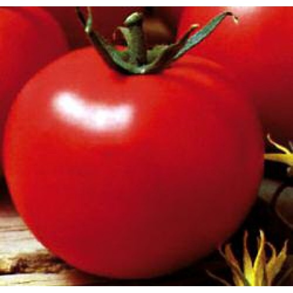 Seminte de tomate Optima F1, 500 seminte, Seminis