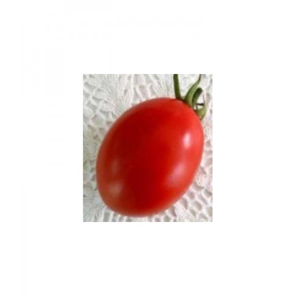 Seminte de tomate determinate Chelse F1 (fost Veloz), 1000 seminte, Seminis